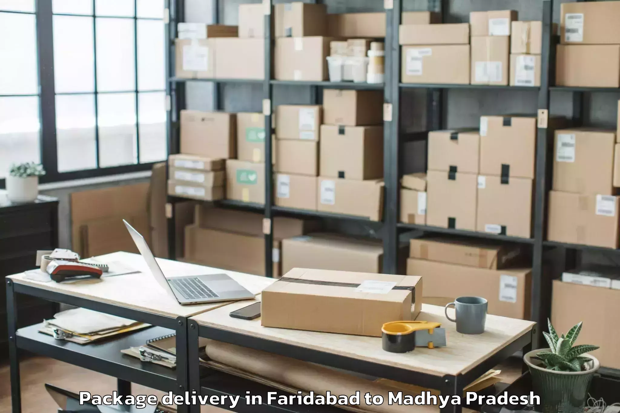 Easy Faridabad to Gandhwani Package Delivery Booking